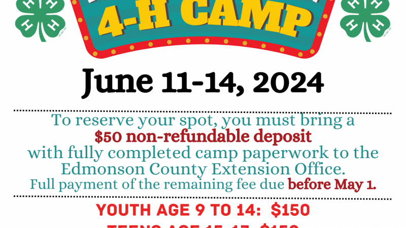 4HCamp2024Flyer